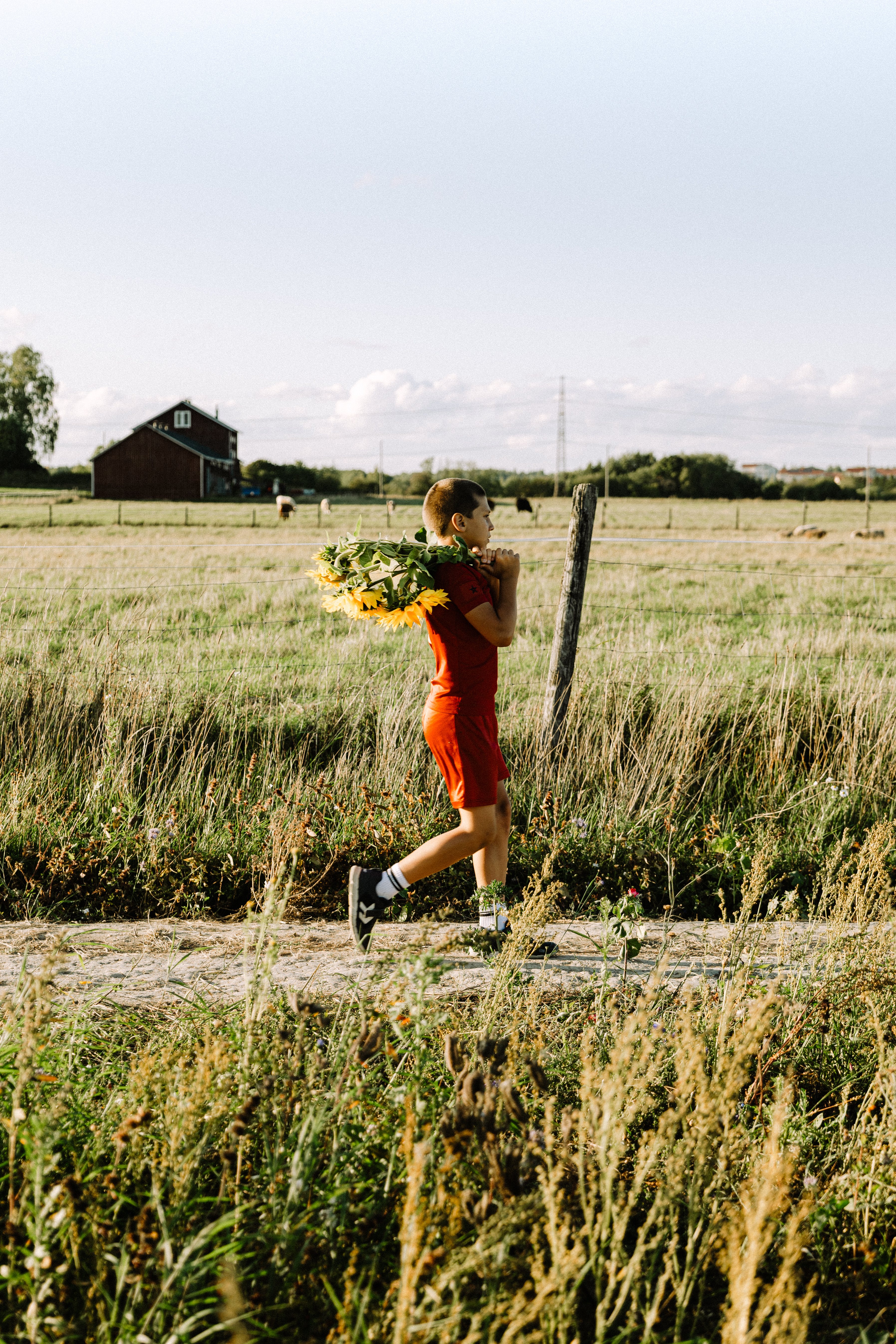 Running through sunflower fields