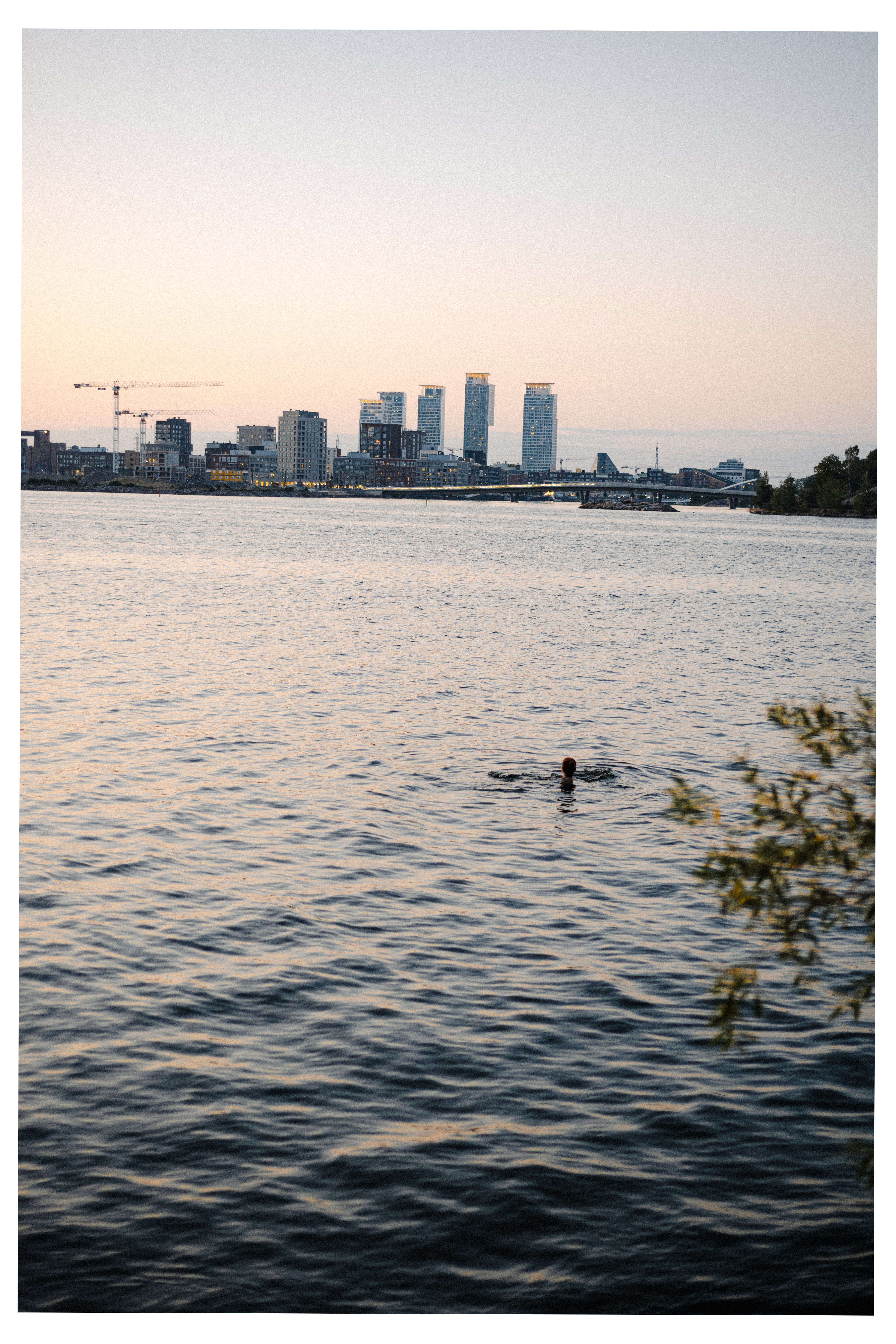Summer swim at dusk