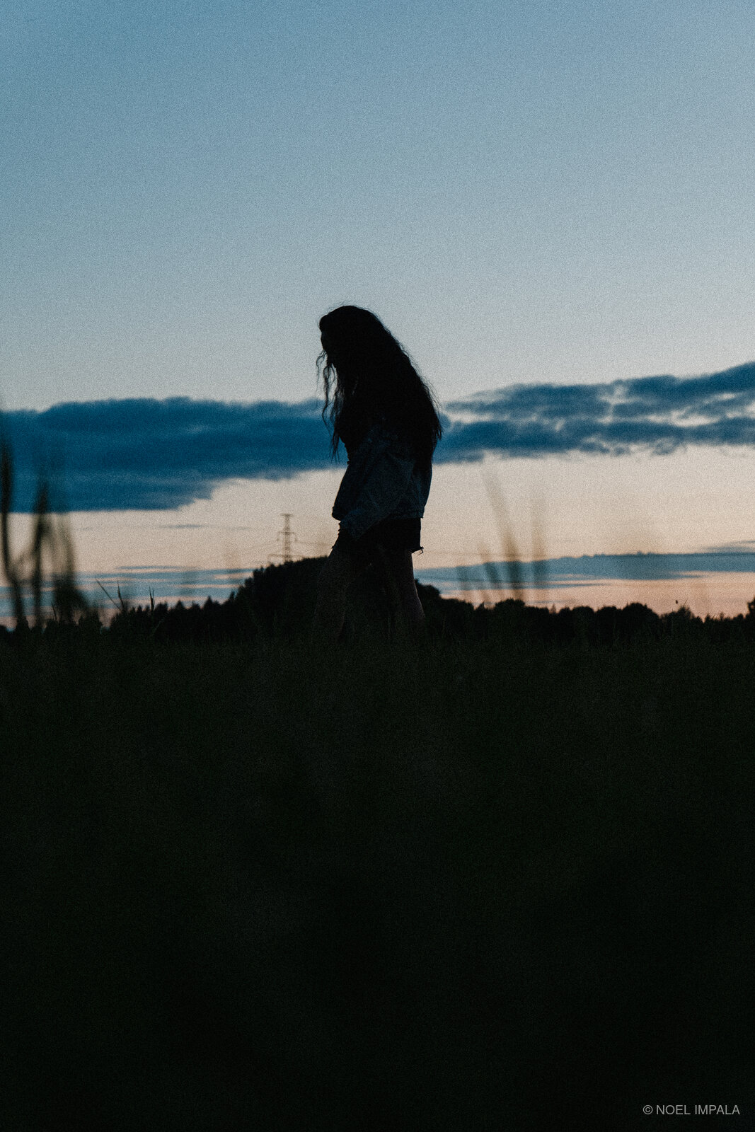 Woman silhouette in field at twilight