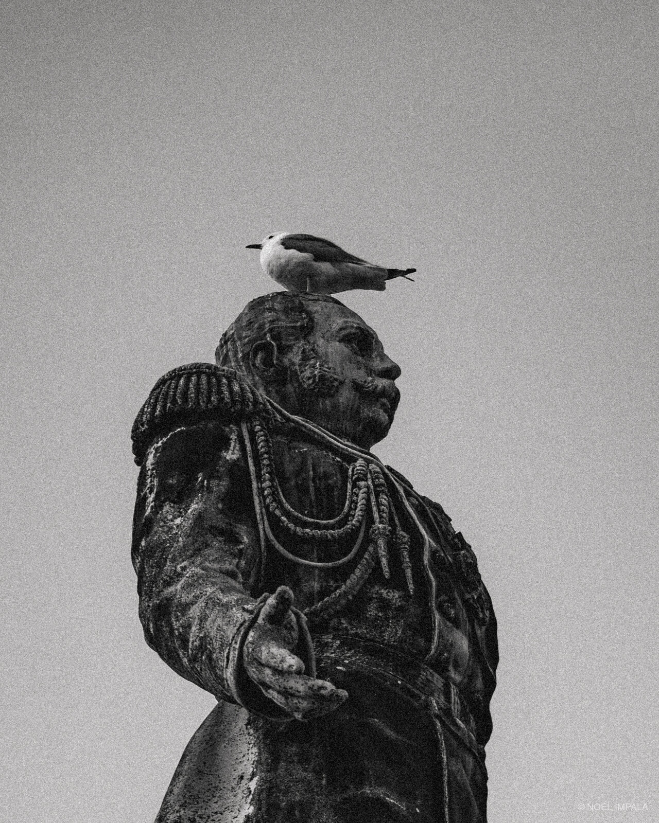 Statue with seagull perched on head