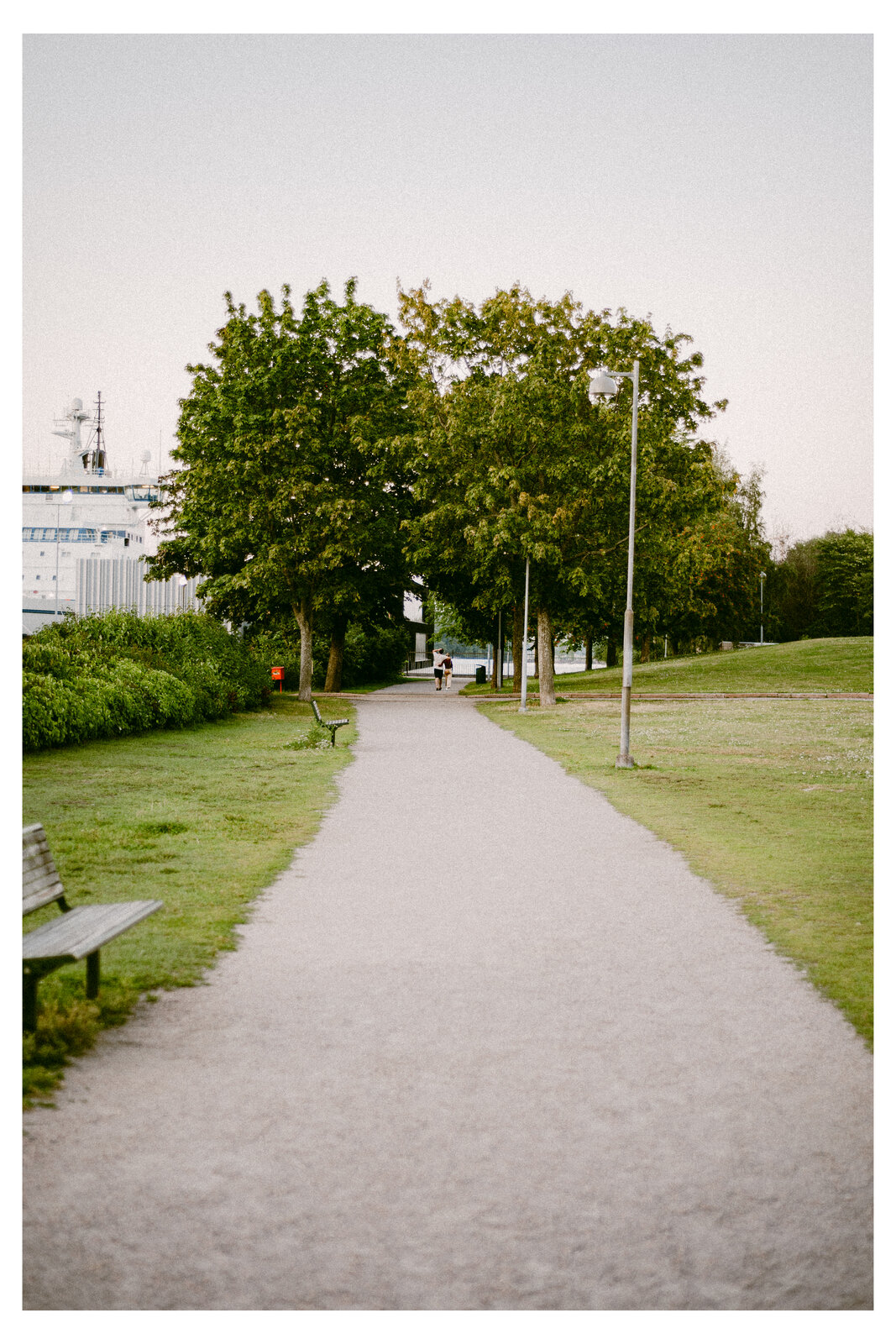 Tree-lined path in waterfront park