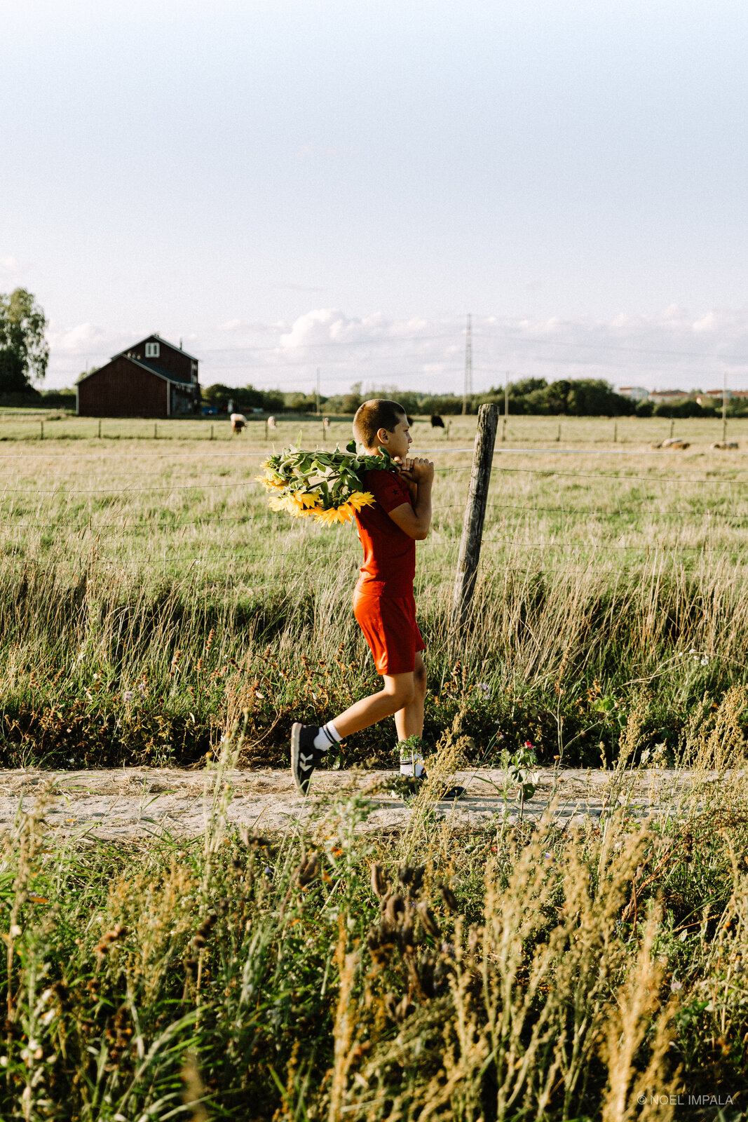 Woman running through field with sunflowers