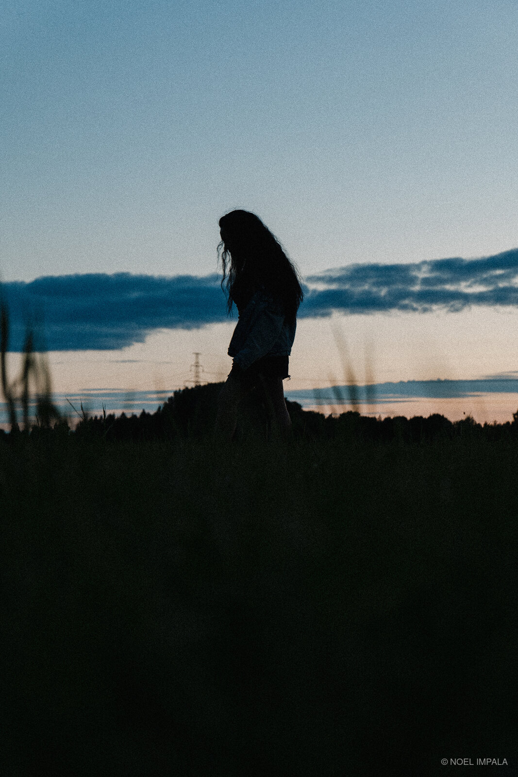 Silhouette in field at dusk