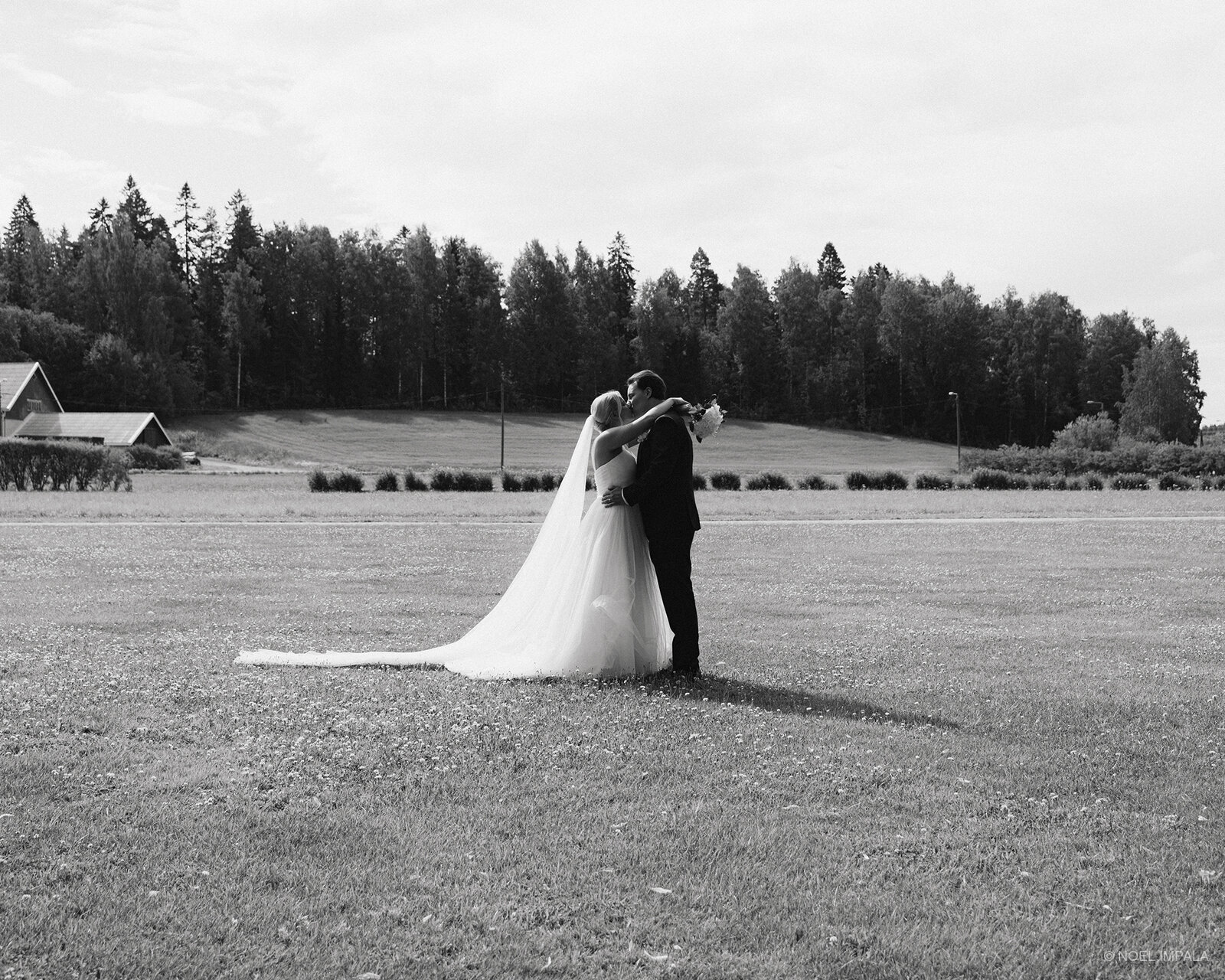 Wedding couple in Finnish field