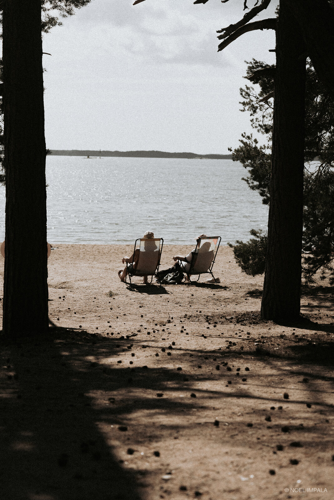 Beach chairs framed by trees